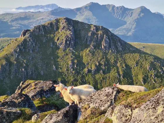 Monte Autore