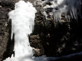 IMG_20150406_141118